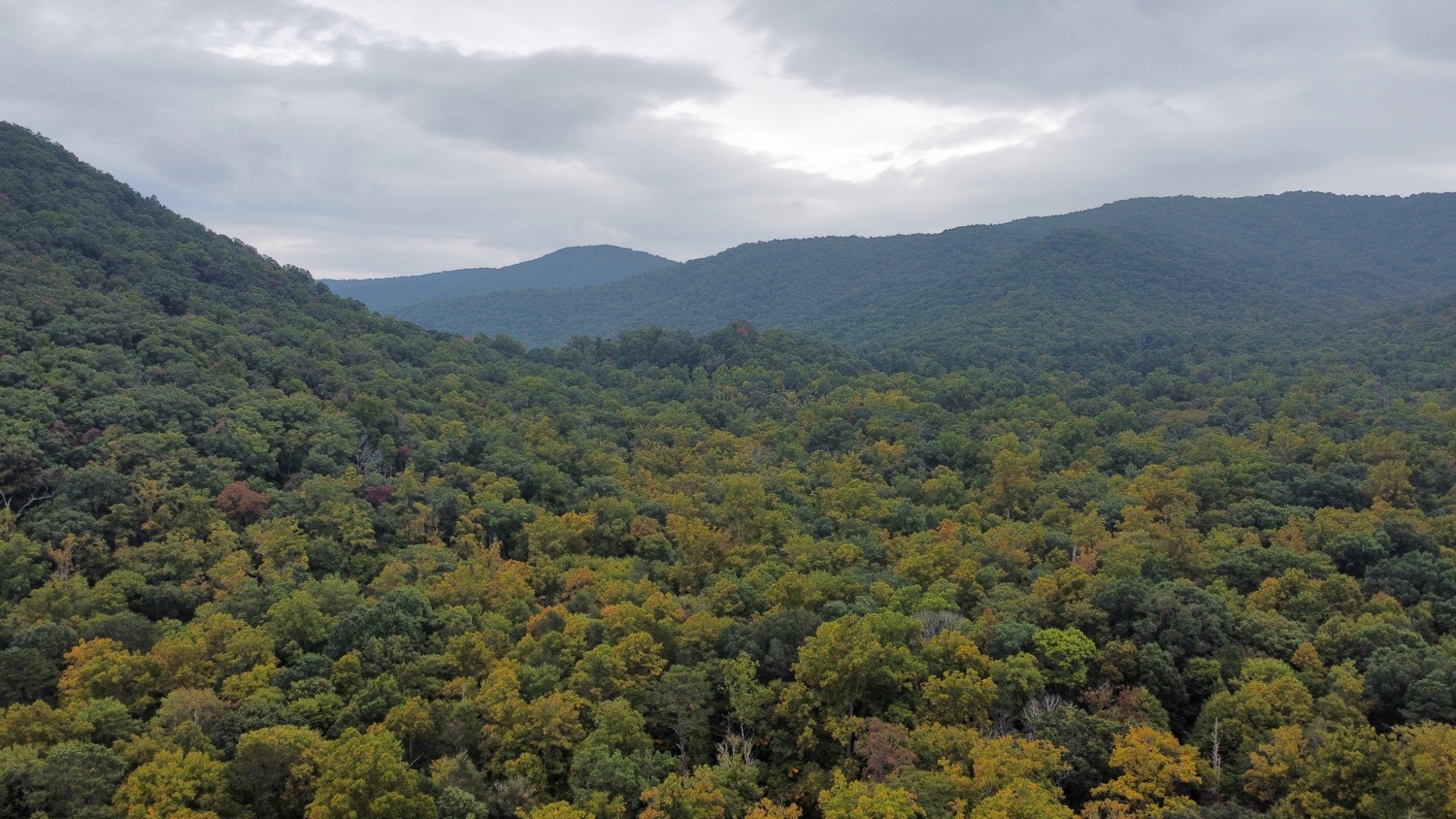 Aerial view of the park and surrounding mountains