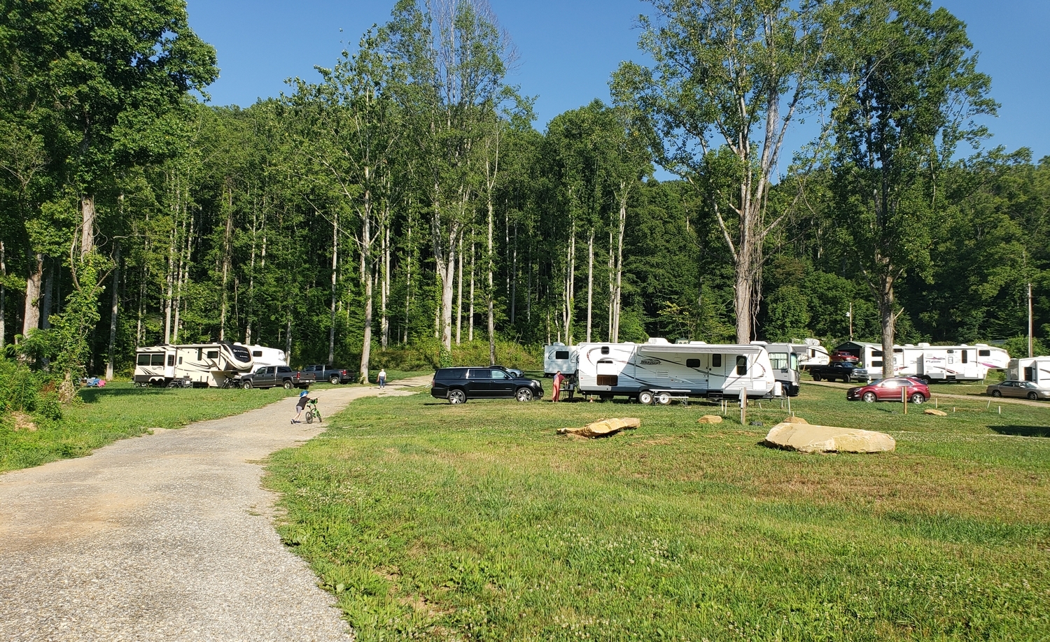 Park view with RVs and green surroundings