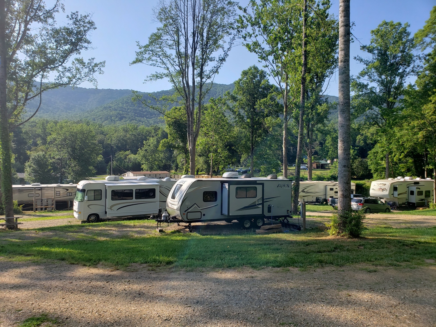 RVs in a grassy wooded setting